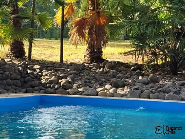 Hamaca colgante de mimbre bajo árbol con jardín verde al fondo